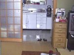 tesuri001.jpg